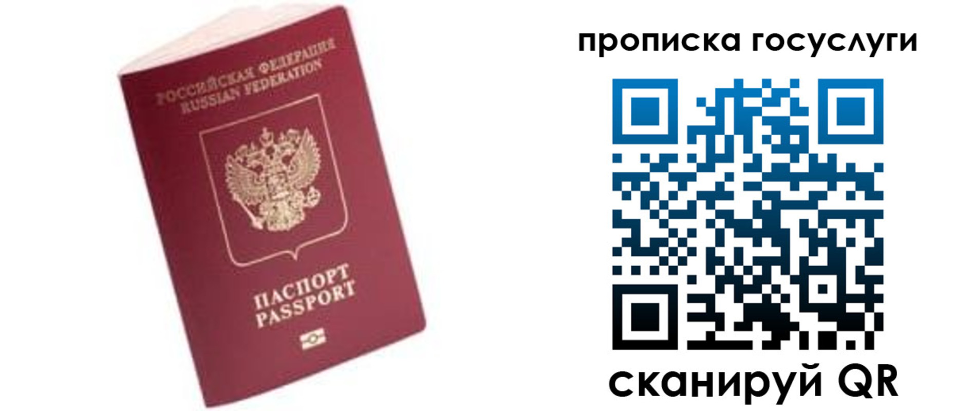 прописка в Чудово